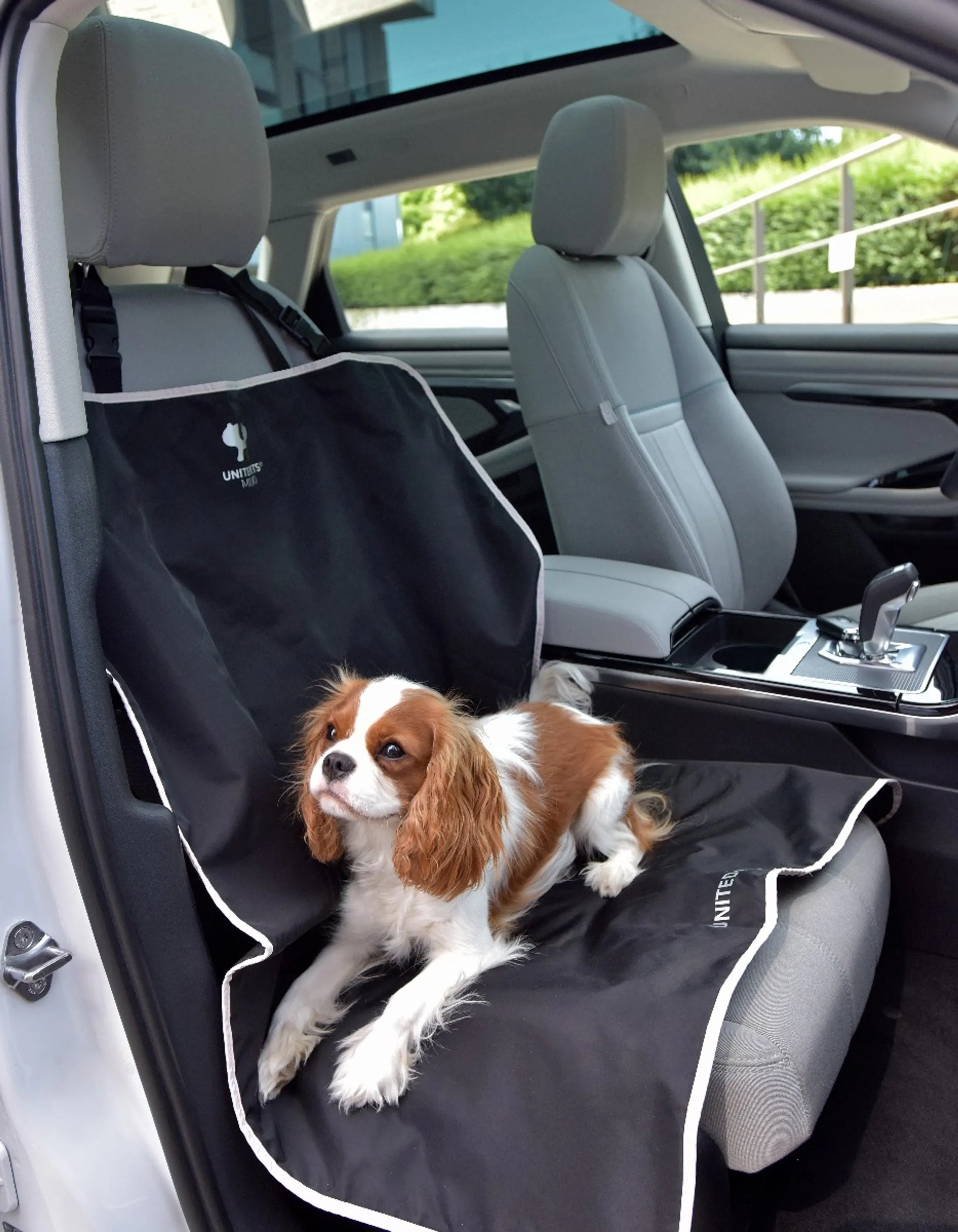 Bilsetebeskytter for hund til bilen - Dyrekompaniet