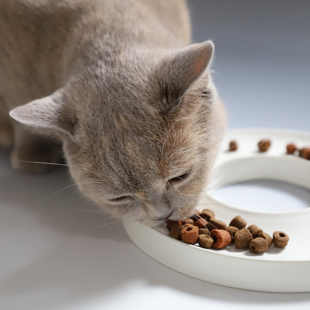 katten bruker lenger tid på å spise