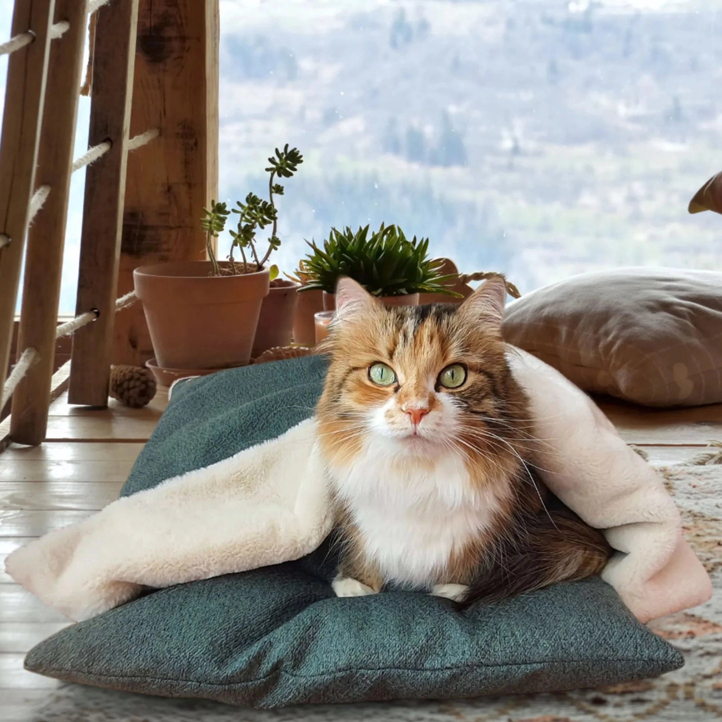 Sovepose til hund og katt grønn - Dyrekompaniet