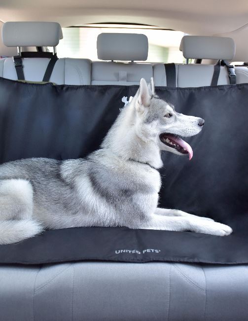 Stor bilsetebeskyttelse for hund i bil svart/grønn - Dyrekompaniet