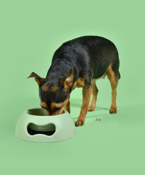Stor matskål til hund og katt - grønn - Dyrekompaniet