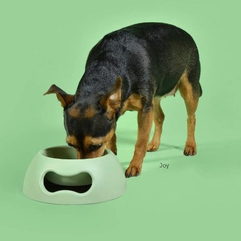 Medium matskål til hund og katt - grønn - Dyrekompaniet