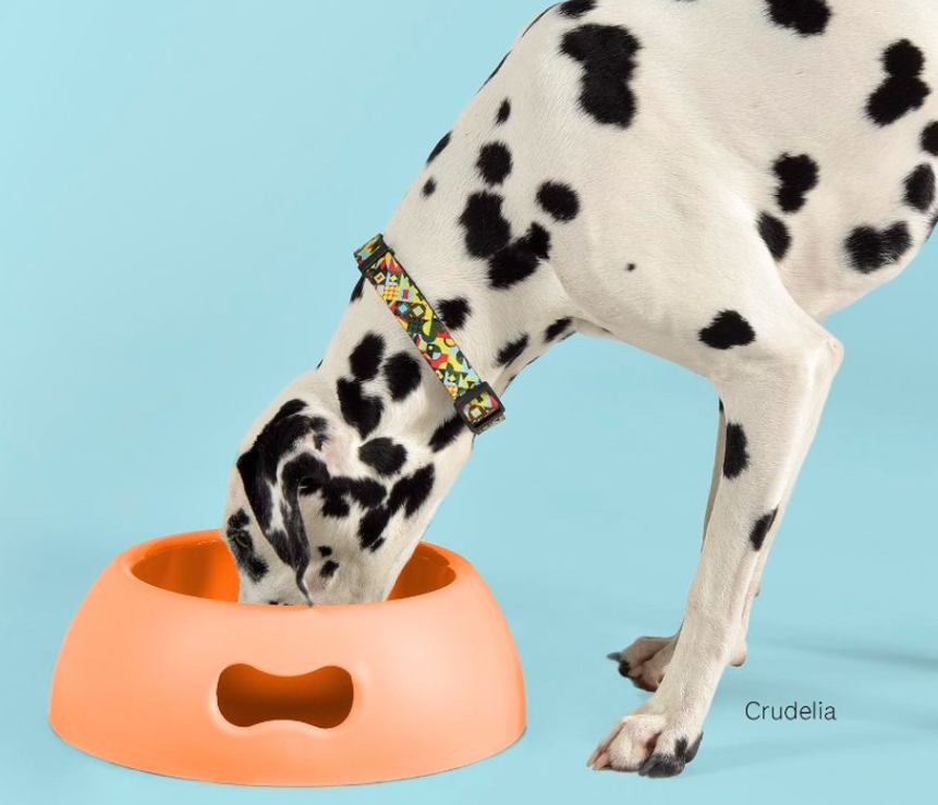 Stor matskål til hund og katt - grønn - Dyrekompaniet