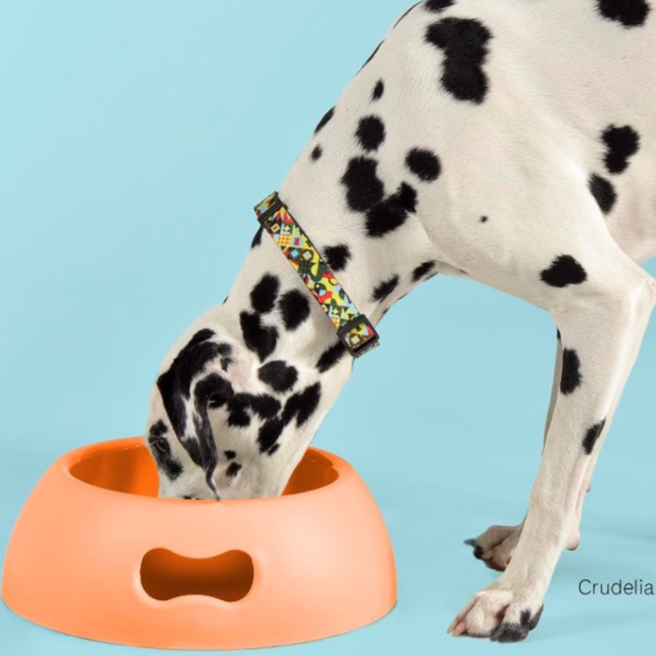 Stor matskål til hund og katt - oransje - Dyrekompaniet