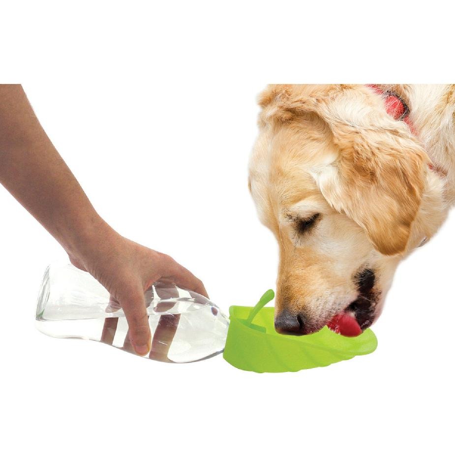 enkelt å ta med vann til hunden - Dyrekompaniet